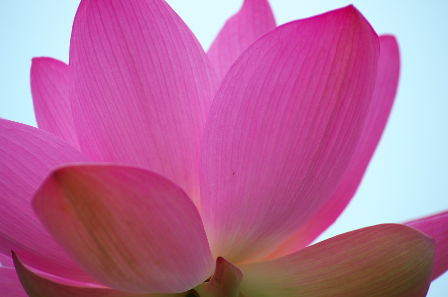 IMGP6047.jpg(179242 byte)