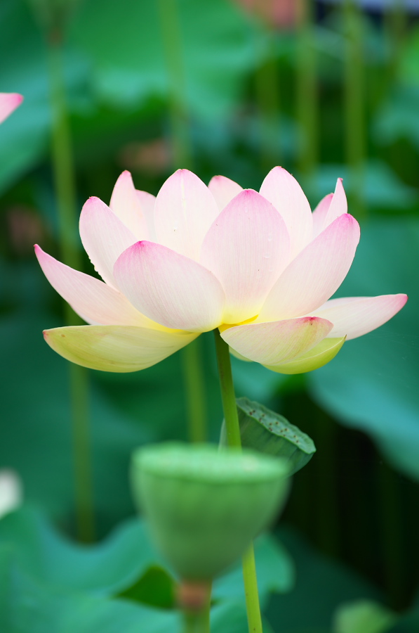 IMGP6078.jpg(161412 byte)