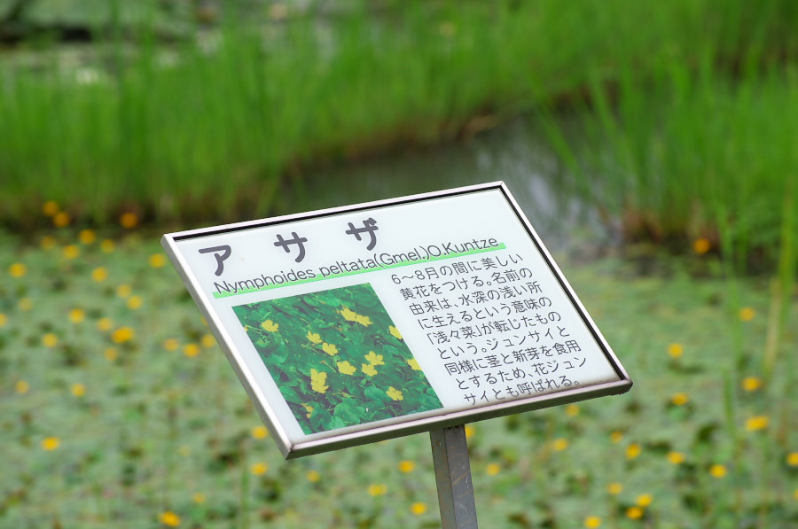 IMGP6097.jpg(226273 byte)