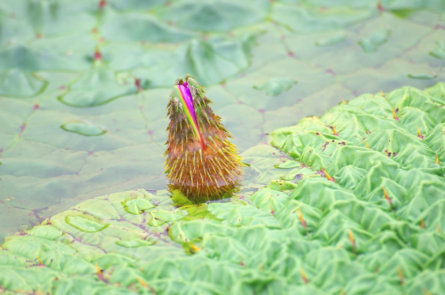 IMGP6112.jpg(289505 byte)