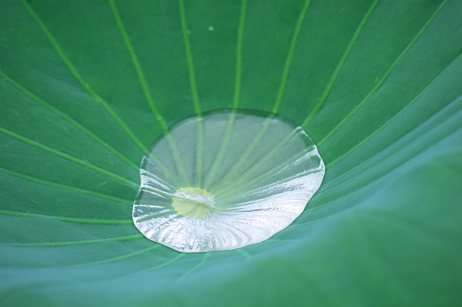 IMGP6139.jpg(212608 byte)