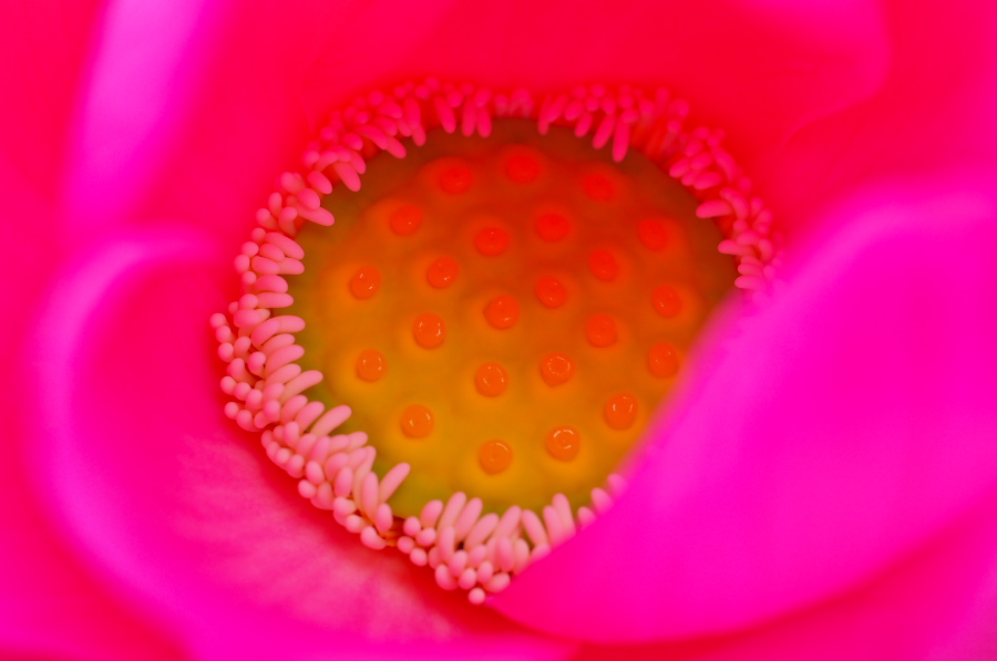 IMGP6156.jpg(154127 byte)