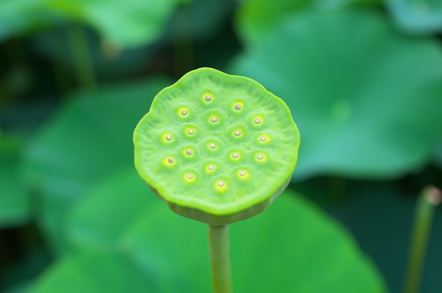 IMGP6175.jpg(147758 byte)