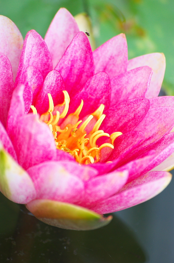 IMGP6206.jpg(314552 byte)