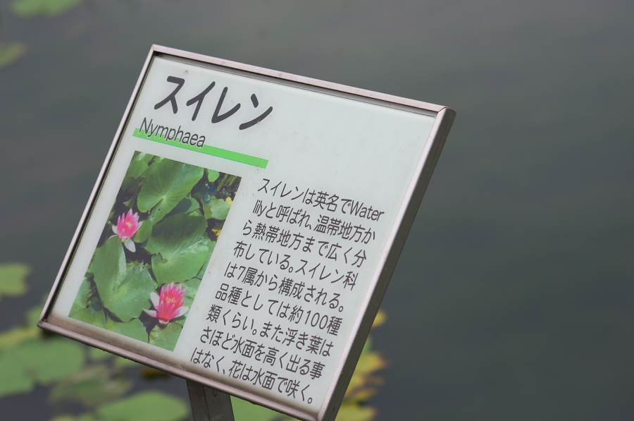 IMGP6212.jpg(195376 byte)