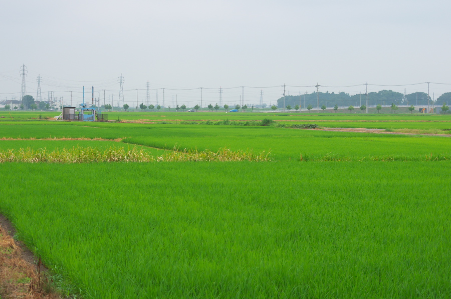 IMGP6219.jpg(302573 byte)