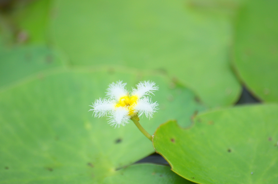 IMGP6223.jpg(159677 byte)