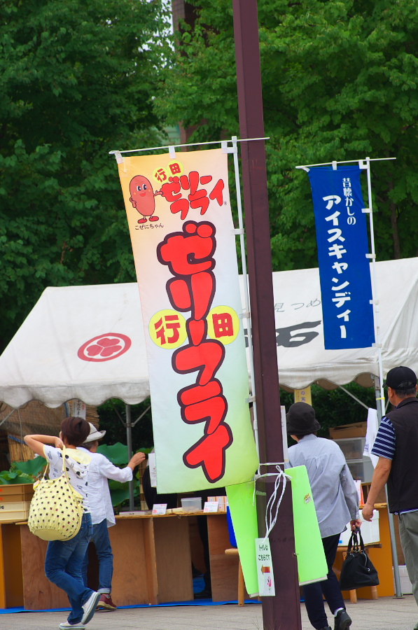 IMGP6340.jpg(361770 byte)