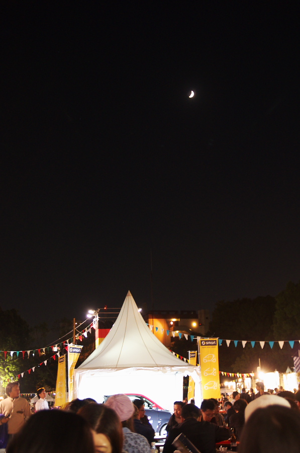 IMGP0300.jpg(192458 byte)