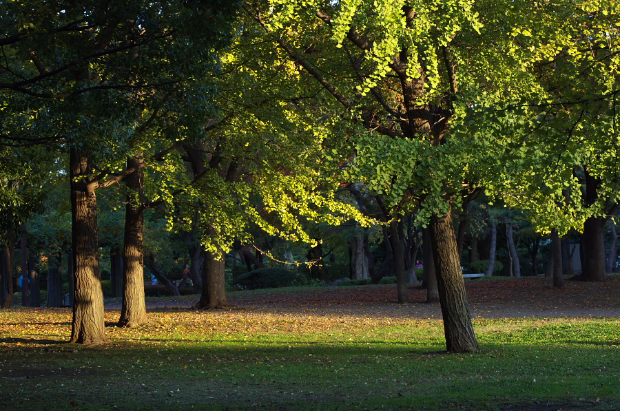 IMGP1078.jpg(595258 byte)