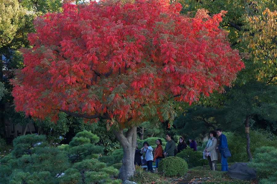 IMGP1093.jpg(559378 byte)