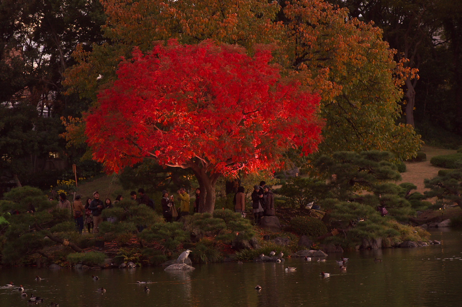 IMGP1152.jpg(419090 byte)