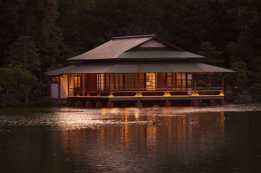 IMGP1153.jpg(308615 byte)