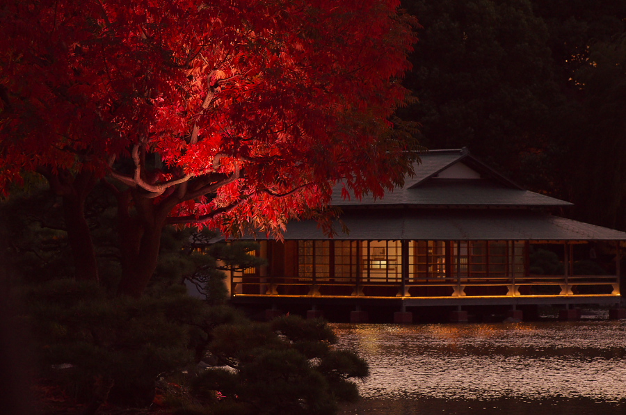 IMGP1165.jpg(349380 byte)