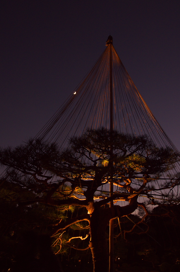 IMGP1243.jpg(266669 byte)