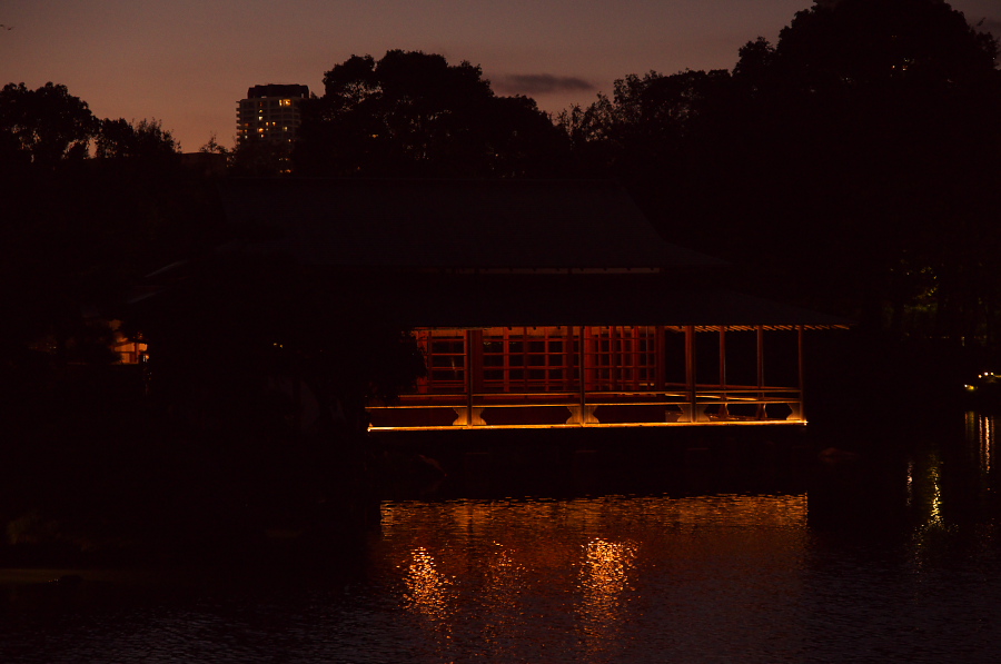 IMGP1246.jpg(212582 byte)