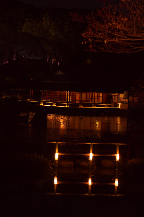 IMGP1262.jpg(225457 byte)