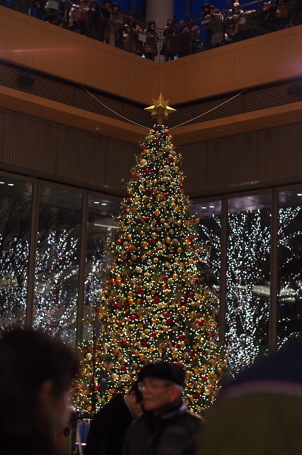 IMGP3632.jpg(418778 byte)