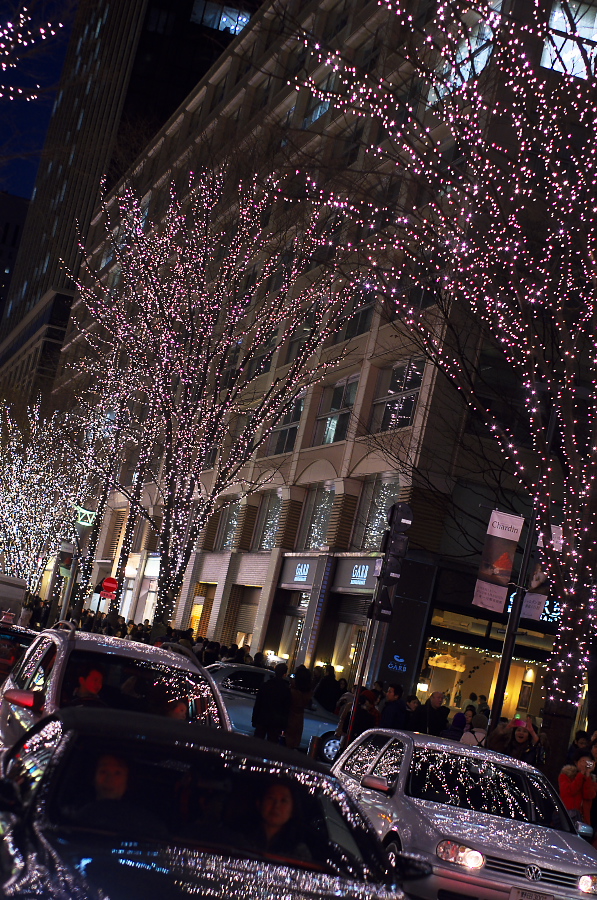 IMGP3648.jpg(556273 byte)