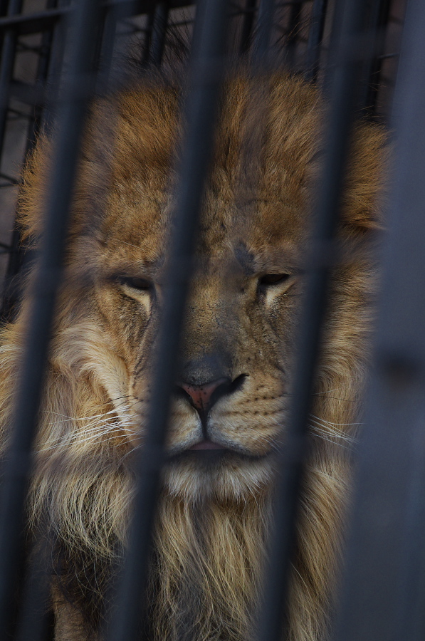 IMGP4145.jpg(313136 byte)