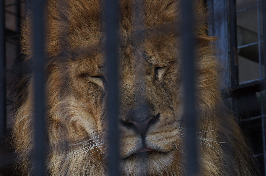 IMGP4148.jpg(328255 byte)