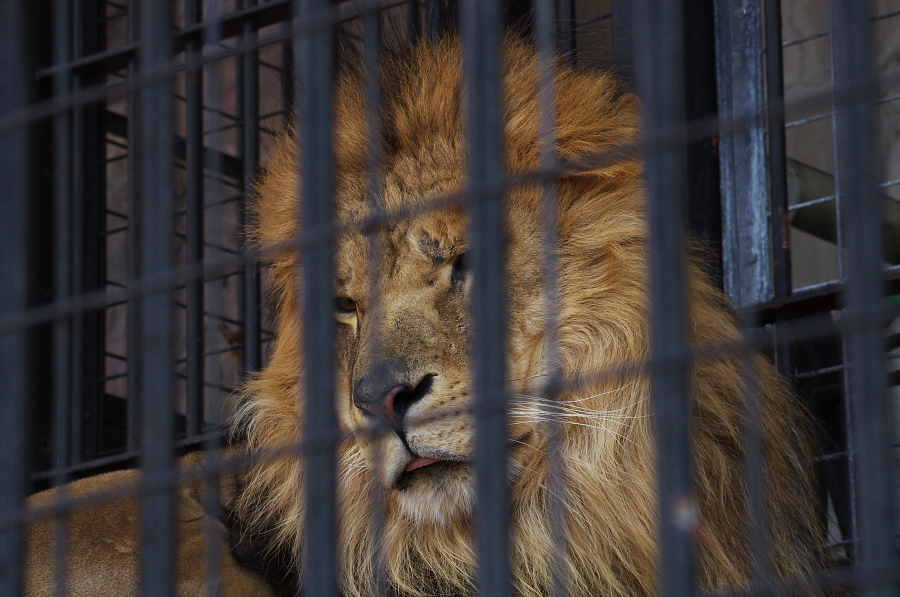 IMGP4154.jpg(309407 byte)