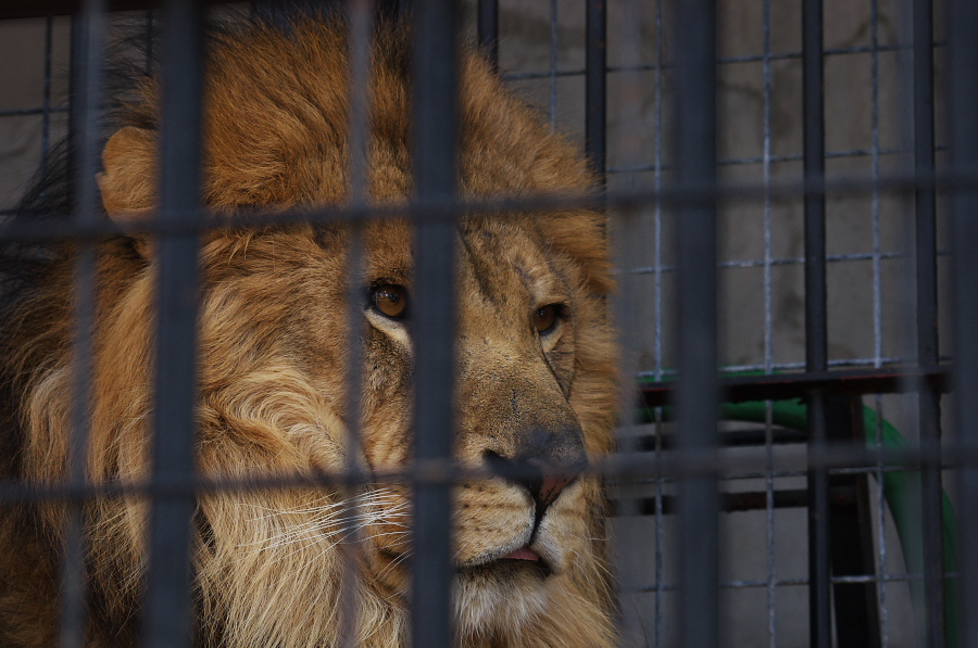 IMGP4157.jpg(298530 byte)