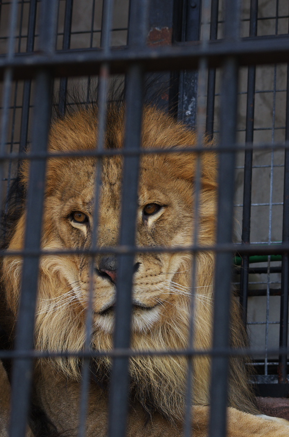 IMGP4159.jpg(319932 byte)