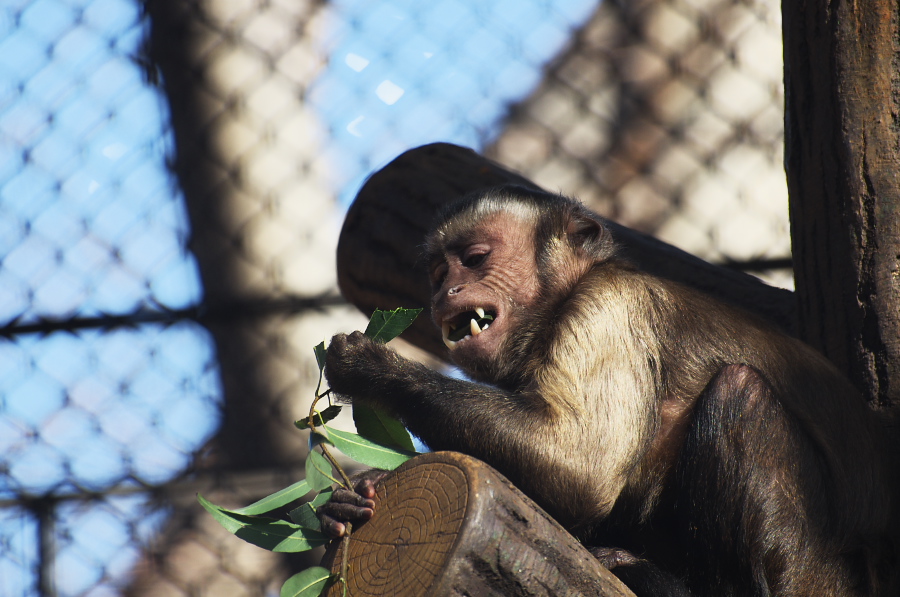 IMGP4172.jpg(279802 byte)