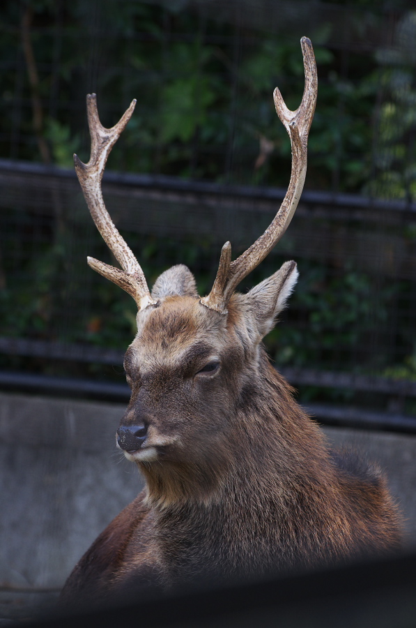 IMGP4214.jpg(243393 byte)