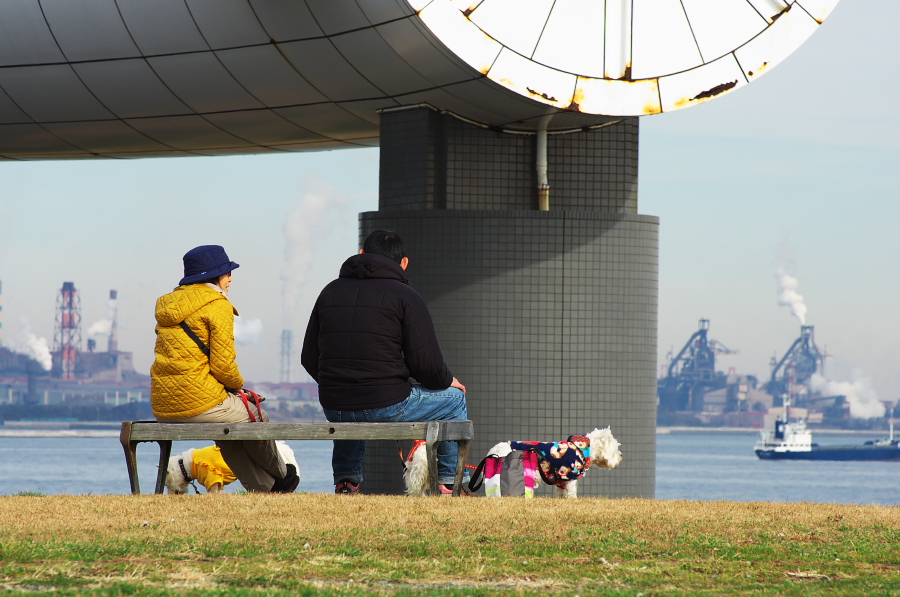 IMGP4335.jpg(294202 byte)