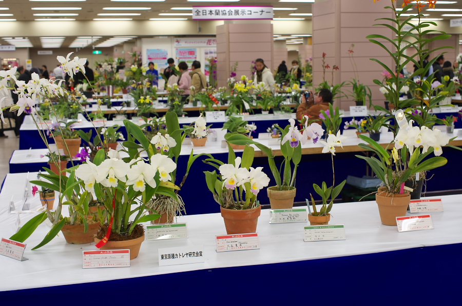 IMGP5288.jpg(352717 byte)