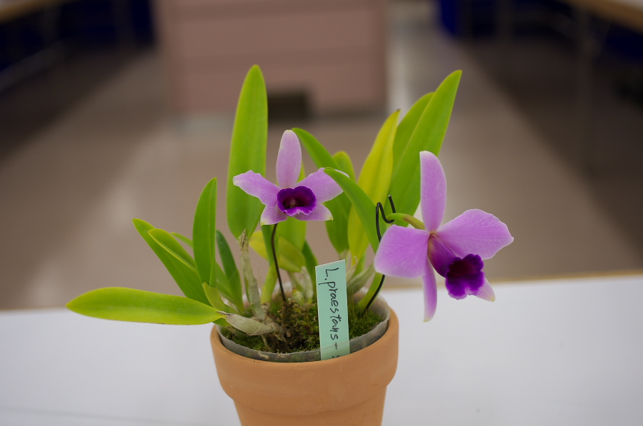 IMGP5306.jpg(154143 byte)