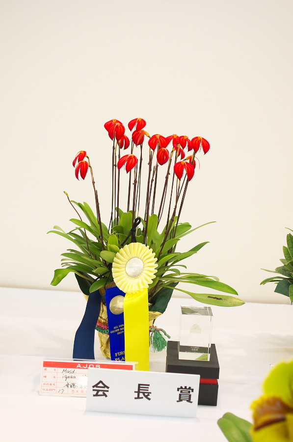 IMGP5380.jpg(188751 byte)