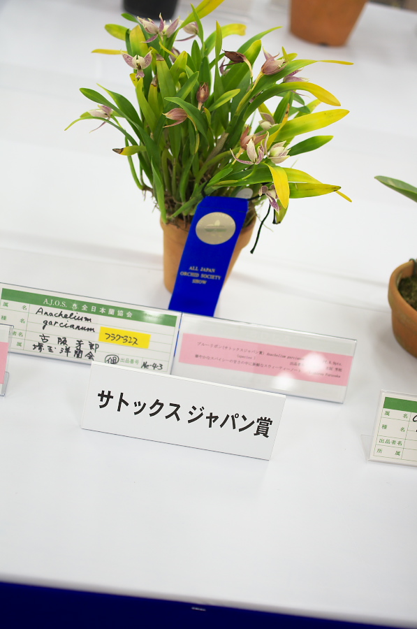 IMGP5393.jpg(198694 byte)