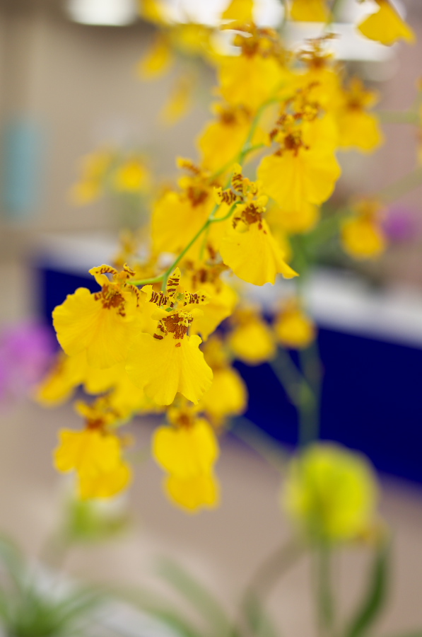 IMGP5413.jpg(170405 byte)