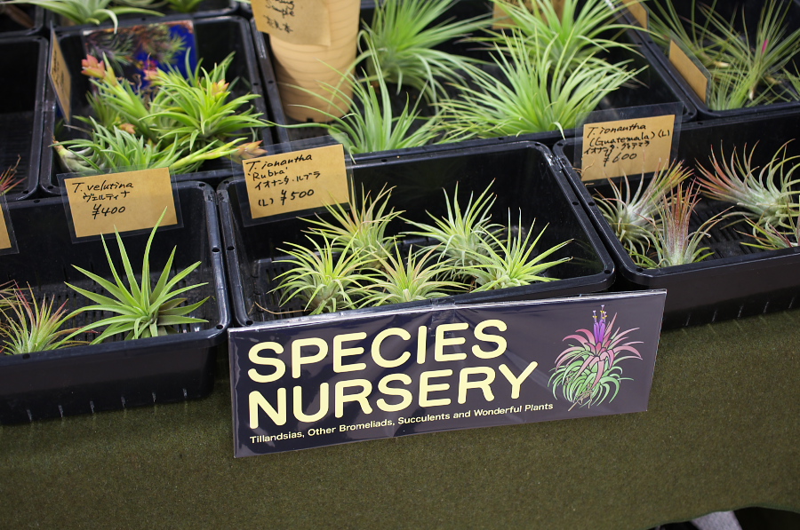 IMGP5430.jpg(419523 byte)