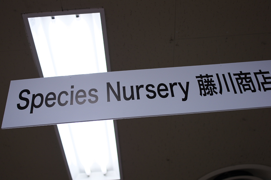 IMGP5433.jpg(151904 byte)