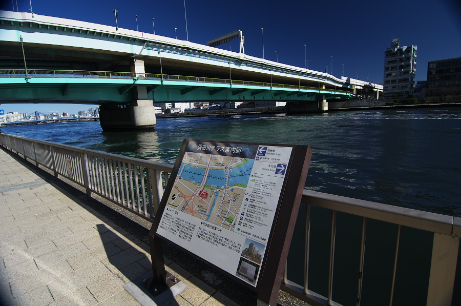 IMGP6177.jpg(339624 byte)