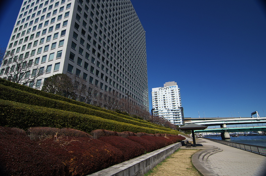 IMGP6179.jpg(412095 byte)