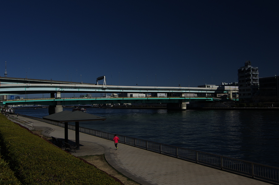 IMGP6181.jpg(223303 byte)