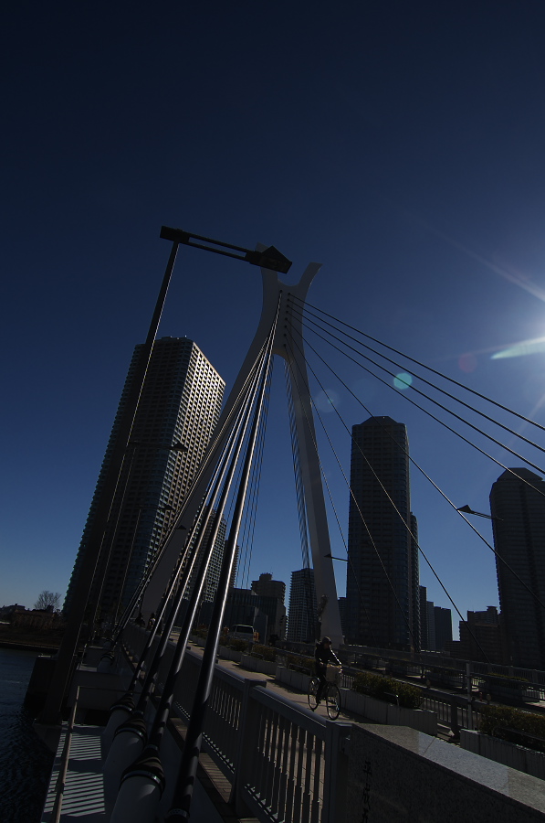 IMGP6195.jpg(213355 byte)