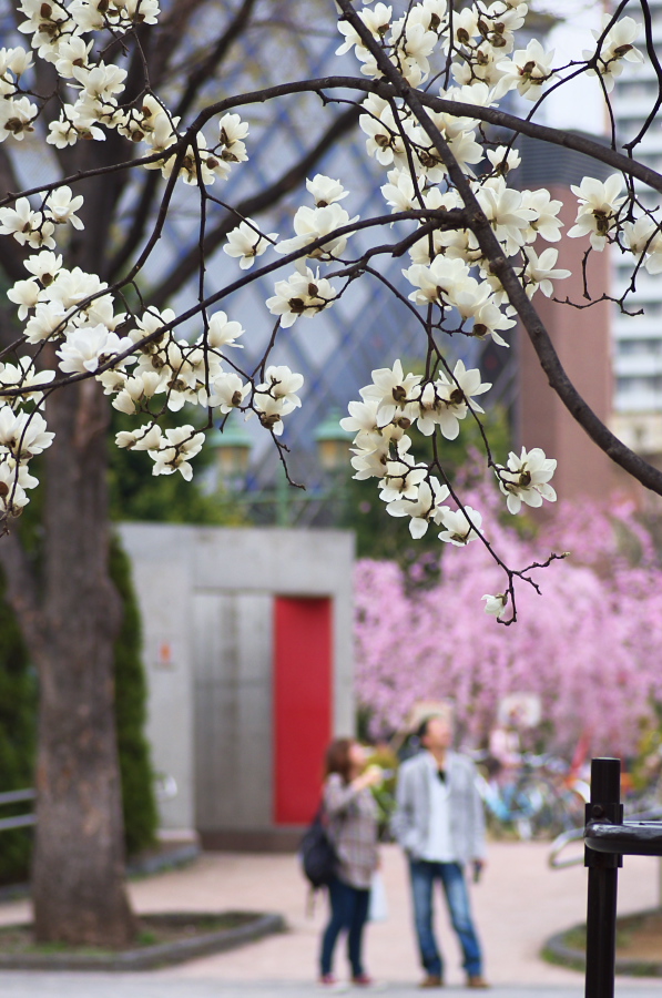 IMGP8959.jpg(319737 byte)