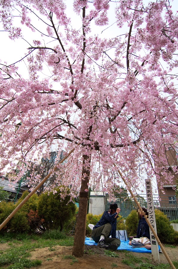 IMGP8996.jpg(651225 byte)