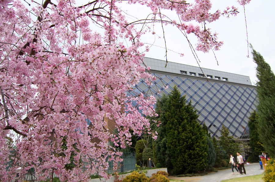 IMGP9002.jpg(535819 byte)