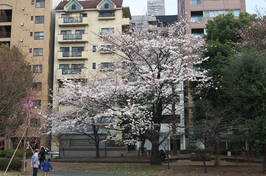 IMGP9003.jpg(528453 byte)