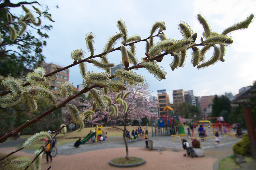 IMGP9020.jpg(310604 byte)