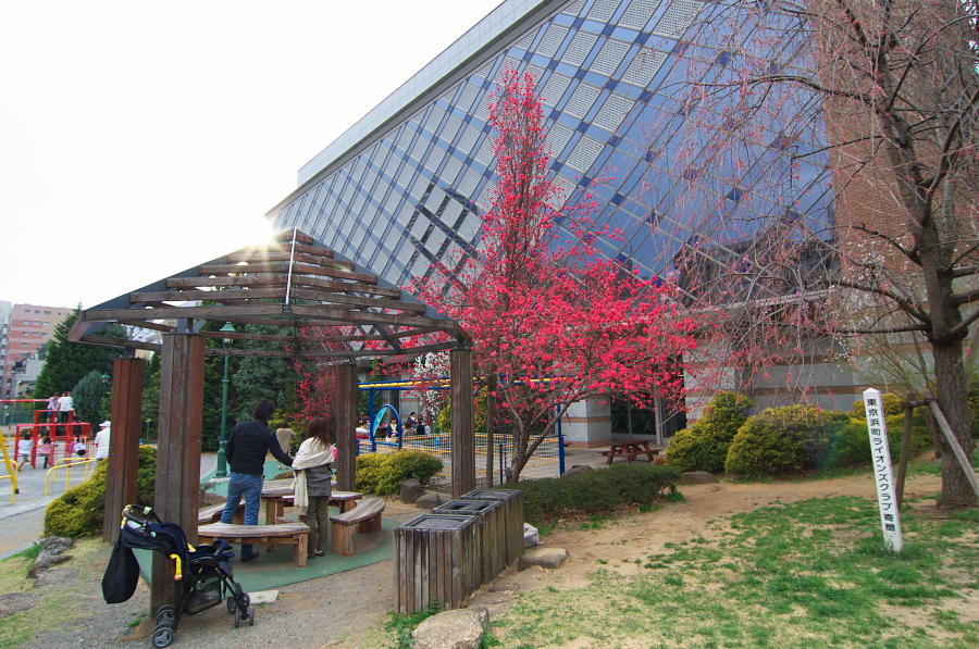 IMGP9023.jpg(475706 byte)