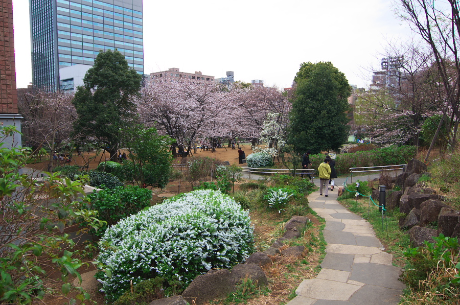 IMGP9029.jpg(521095 byte)