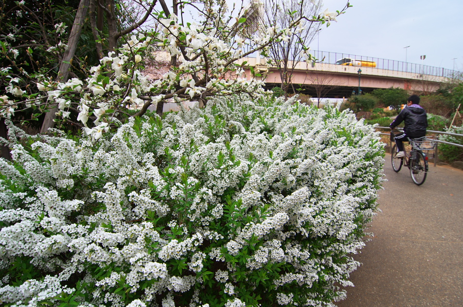 IMGP9040.jpg(601884 byte)